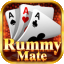 rummy wealth icon